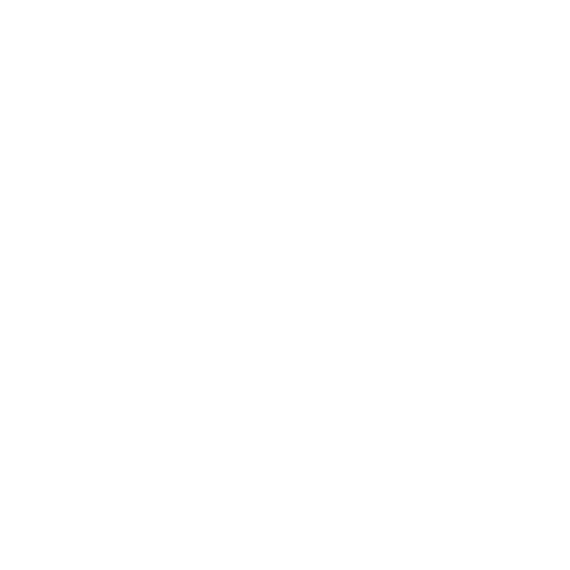 Favicon do site 13