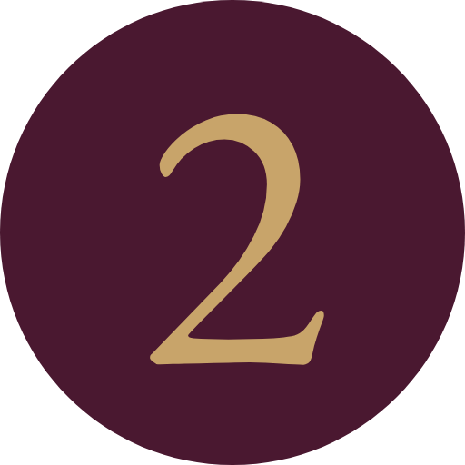 Favicon do site 25
